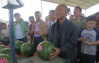 鹿城吃瓜群众事件视频曝光,视频曝光揭示惊人真相