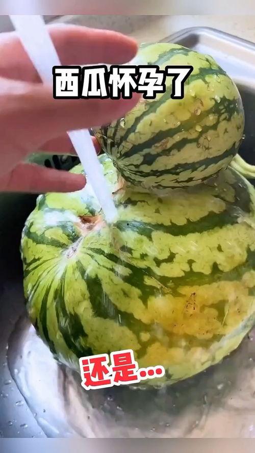 盘点吃瓜的搞笑视频大全,让你笑到肚子疼！