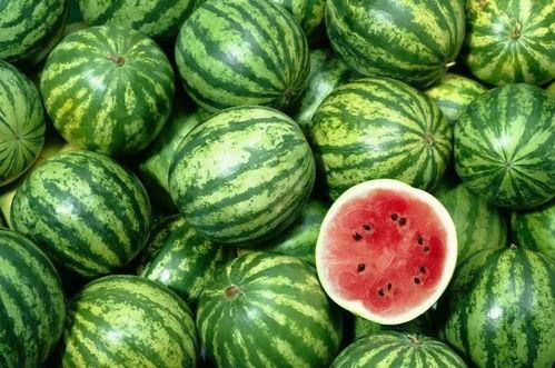 吃西瓜留瓜心视频大全,趣味食趣，创意无限