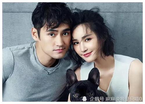 明星网红吃瓜爆料私密视频免费看,吃瓜爆料免费看背后的真相